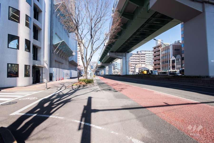 敷地東側の前面道路