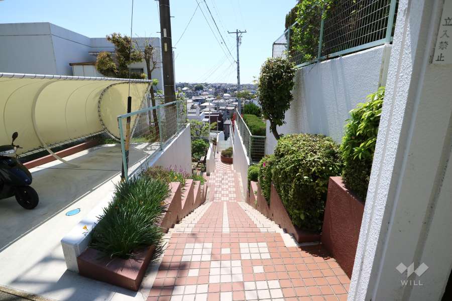 敷地内の通路（階段）
