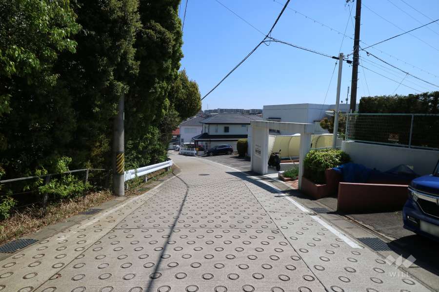 敷地北側の前面道路（西側から）