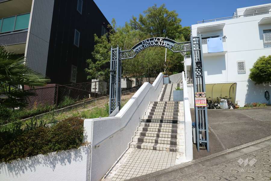 敷地入り口（南側）