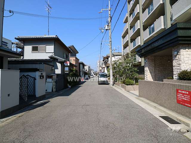 南側道路（東側から）