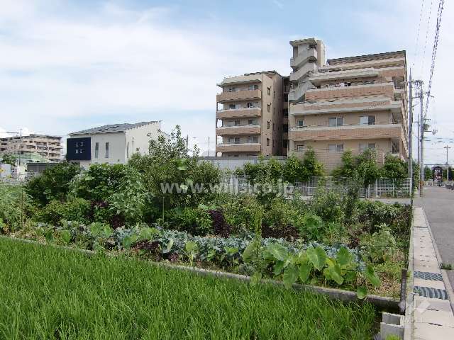 マンション北側。周辺はのどかな雰囲気の住宅地です。