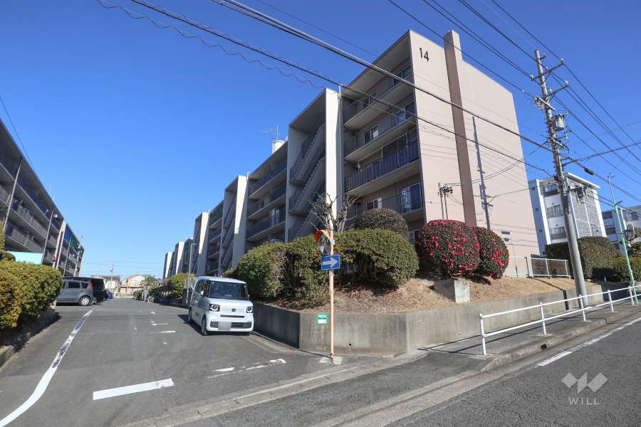 桃山第3住宅14号棟の外観（南東側から）