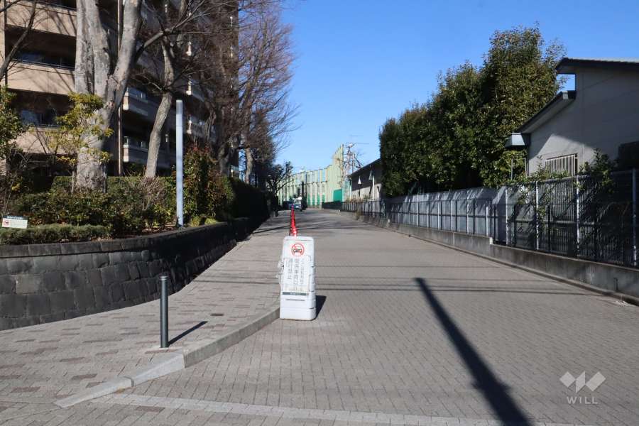 敷地の南東側前面道路(南西側から)