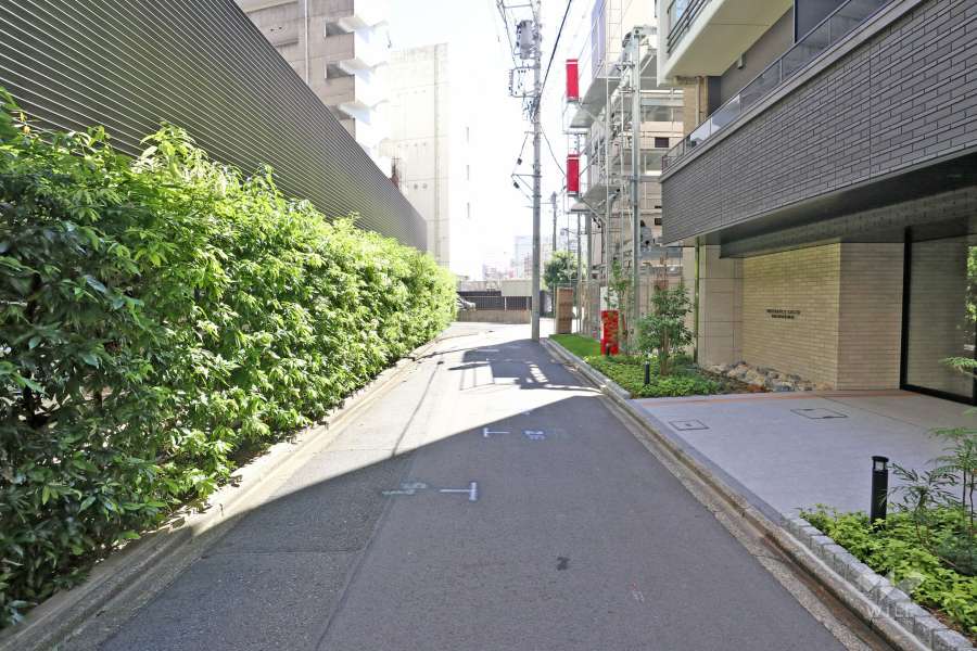 敷地北側の前面道路（西側から）