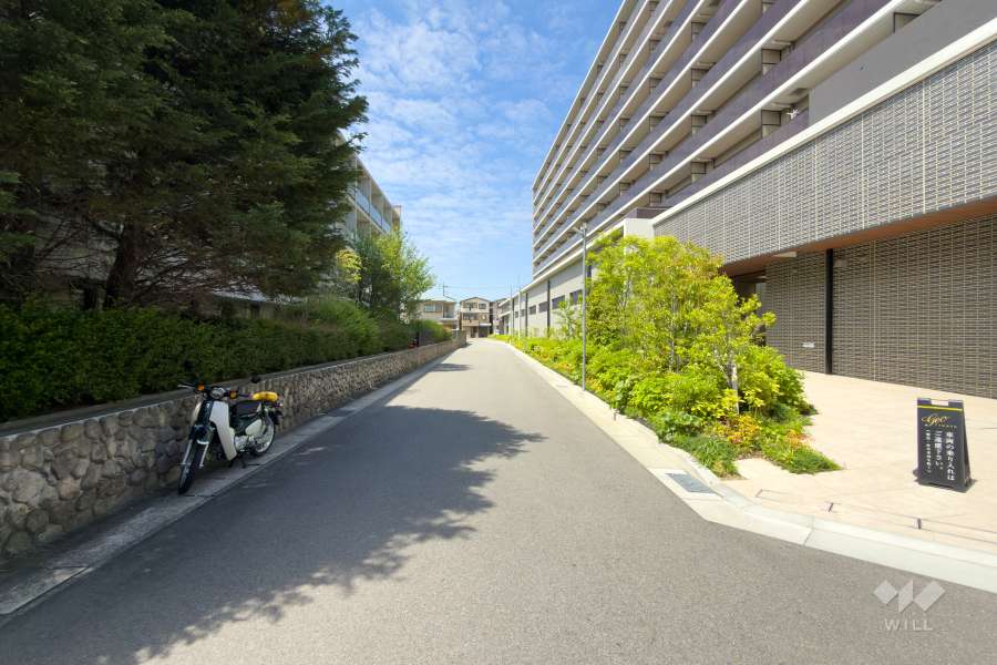 敷地南側の前面道路（東側から）