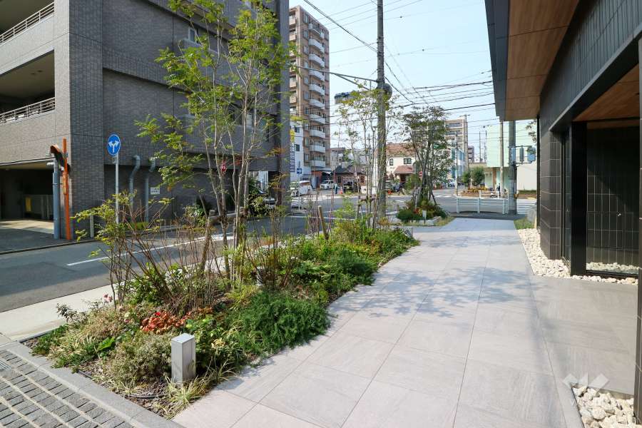 エントランス前の植栽スペース