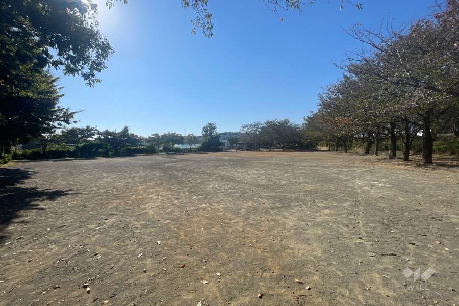 敷地に隣接する犬蔵さくらの丘公園　