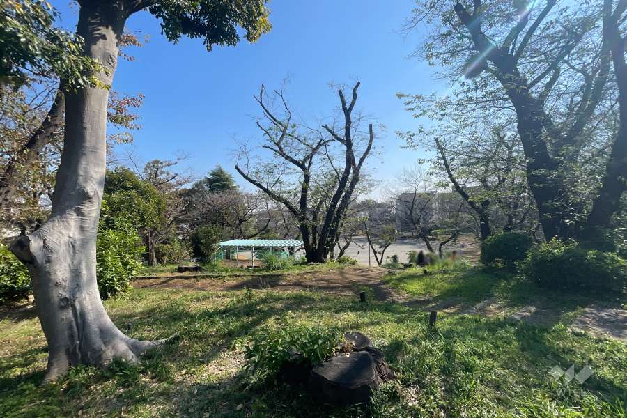 敷地に隣接する小台公園