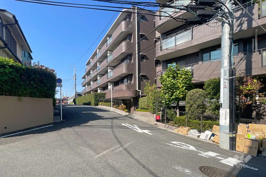 敷地南側の前面道路
