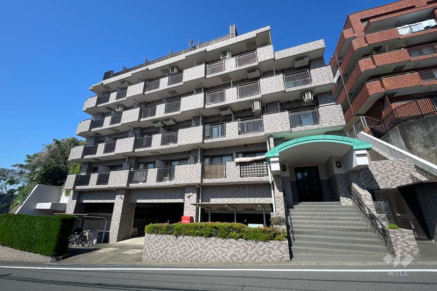 パークノヴァ鷺沼の外観（北東側から）