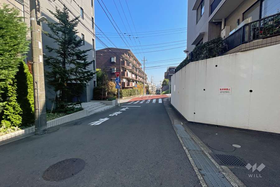 敷地東側の前面道路