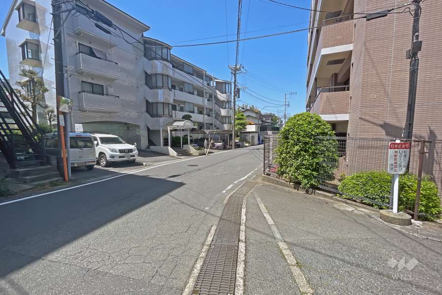 敷地南側の前面道路（東側から）