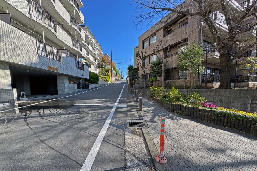 敷地の北側道路（西側から）