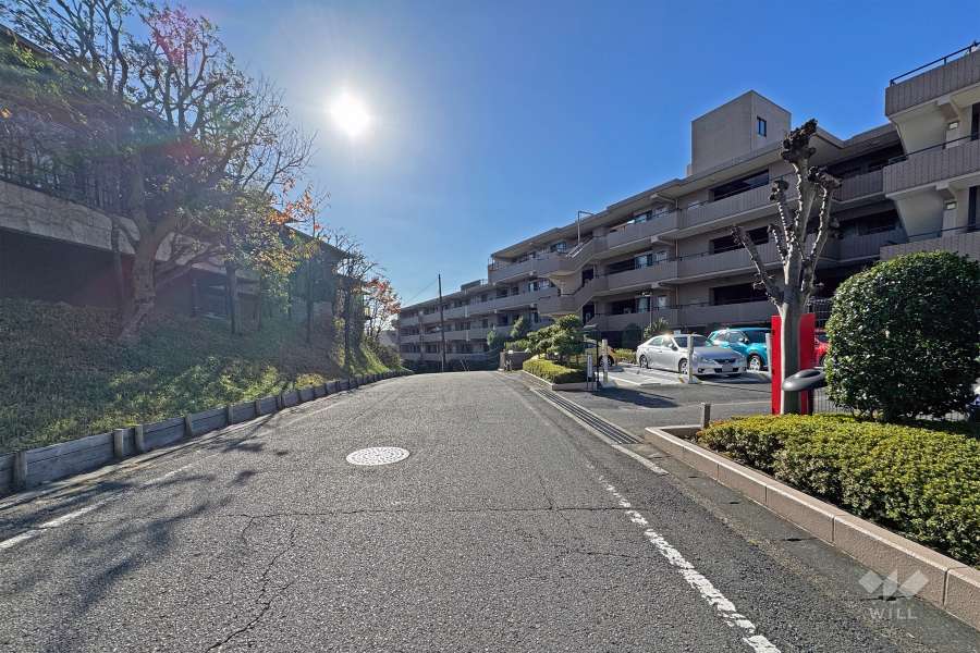 敷地の東側道路（北側から）