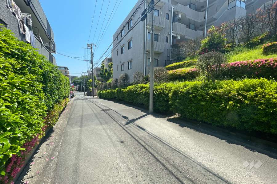 敷地北側の前面道路　