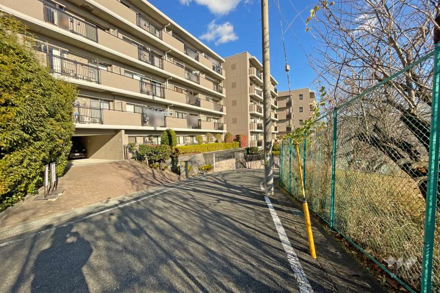 敷地の南側前面道路（西側から）