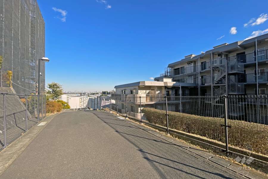 敷地の北側道路（西側から）