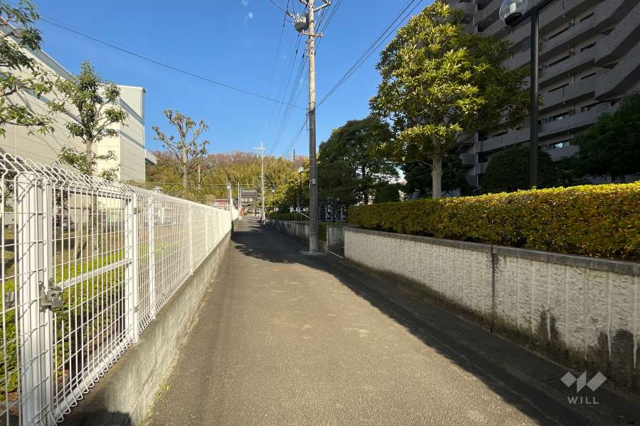 敷地西側の前面道路　