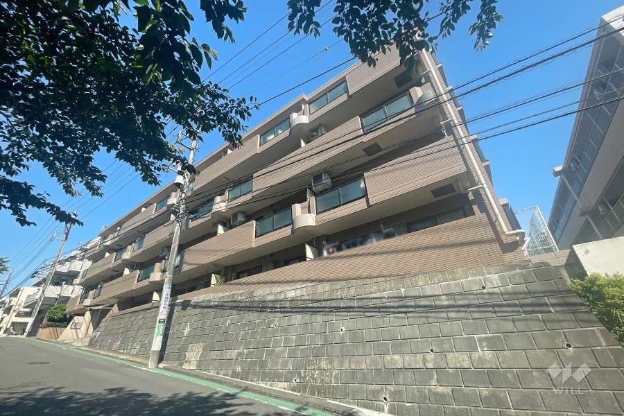 マイキャッスル宮前平の外観（東側から）　