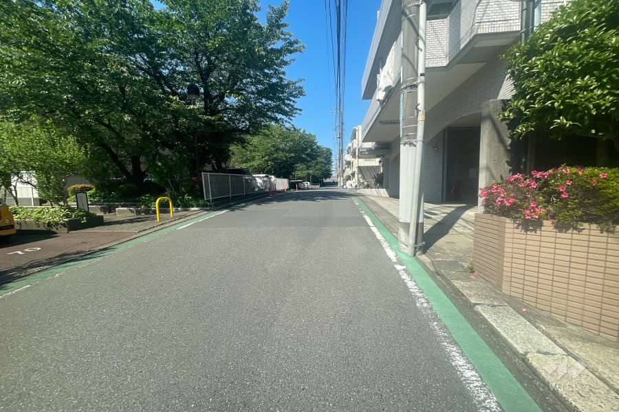 敷地南側の前面道路　