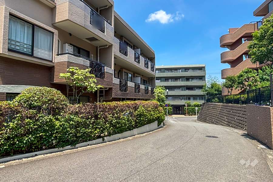 敷地南東側の前面道路