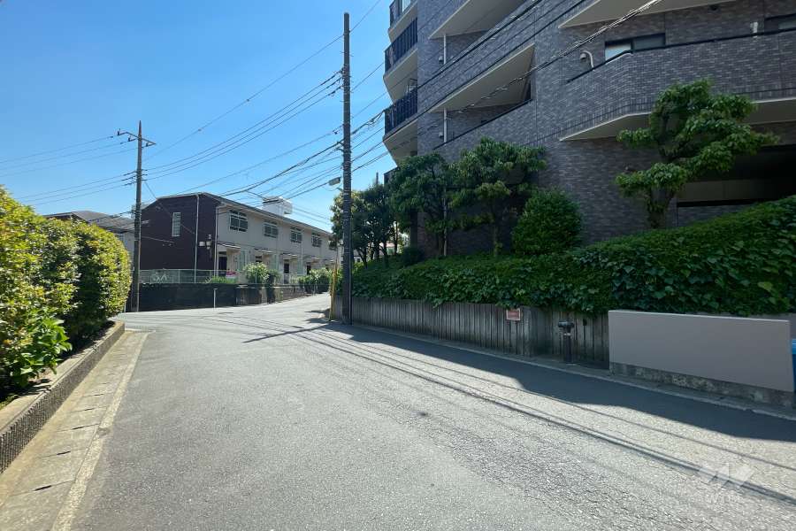 敷地東側の前面道路（北側から）