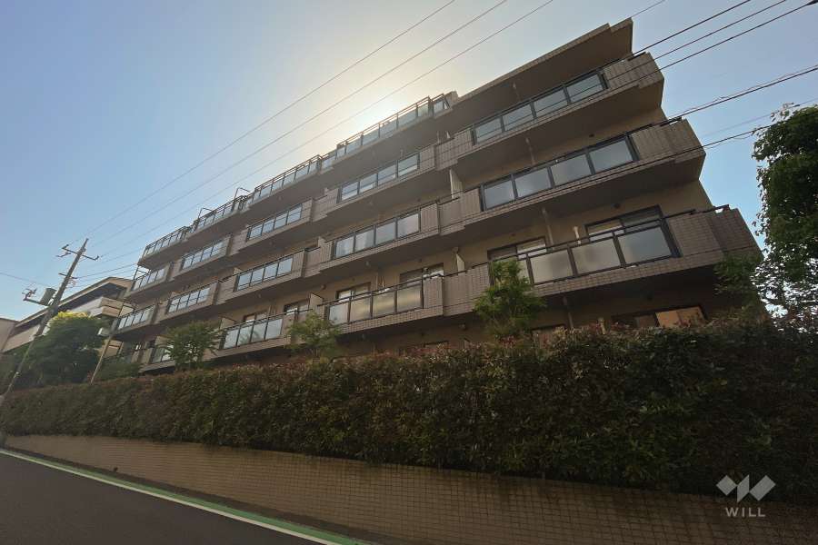 エクセラージュ宮前平の外観（東側から）