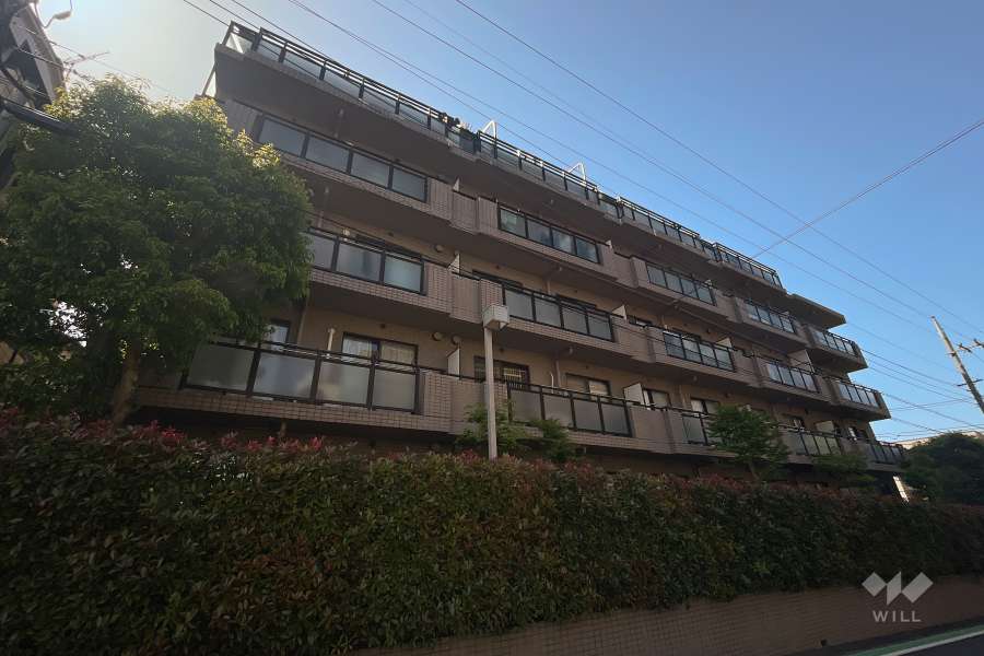 エクセラージュ宮前平の外観（南東側から）