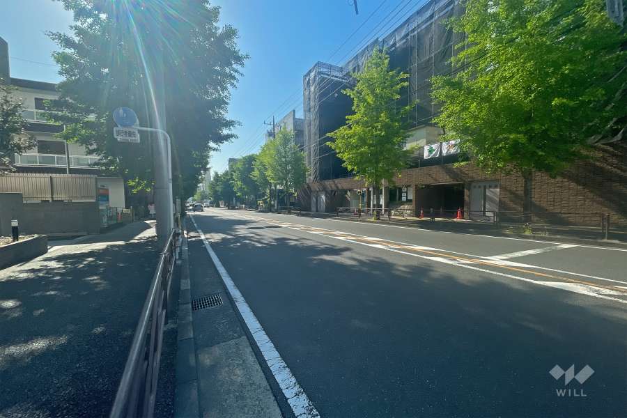 敷地北側の前面道路（西側から）