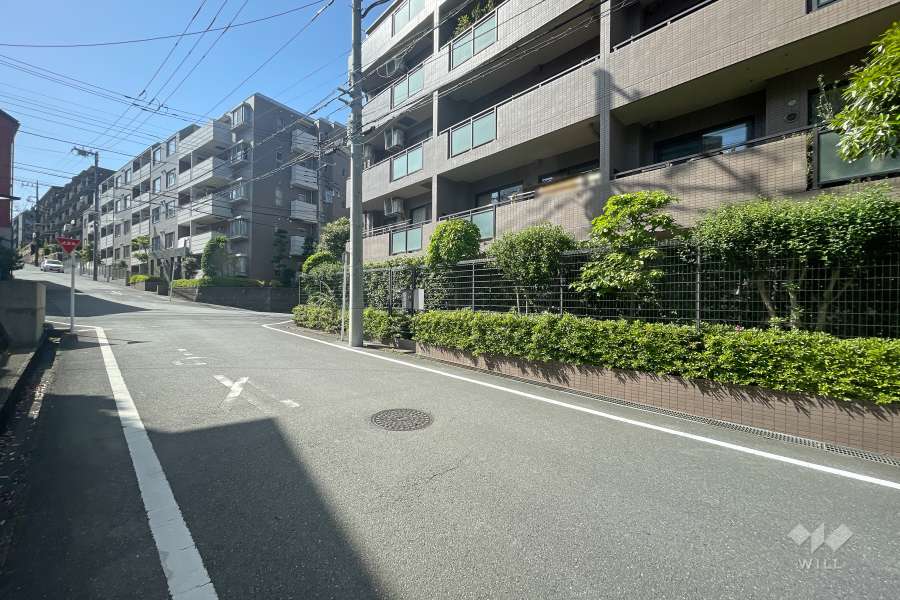 敷地南側の前面道路　