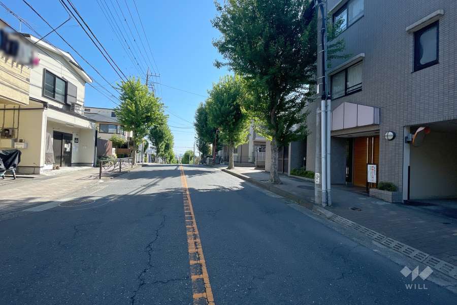 敷地北西側の前面道路　