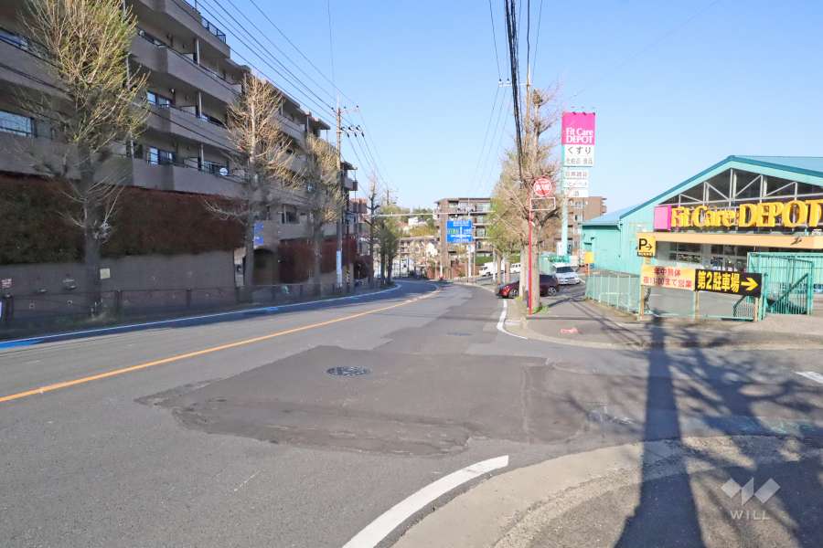 敷地南東側の前面道路（南西側から）