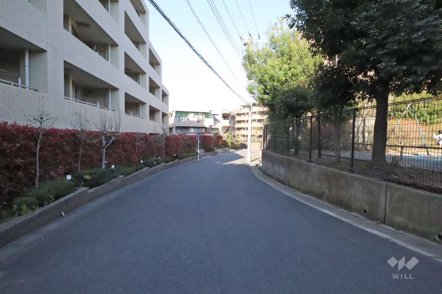 敷地北西側の前面道路（南西側から）