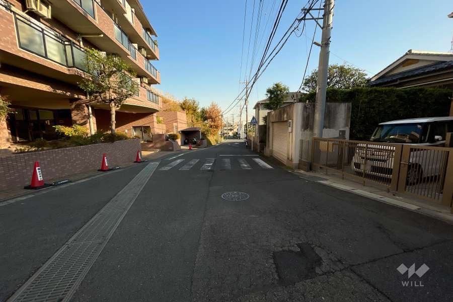 敷地の南側前面道路（西側から）