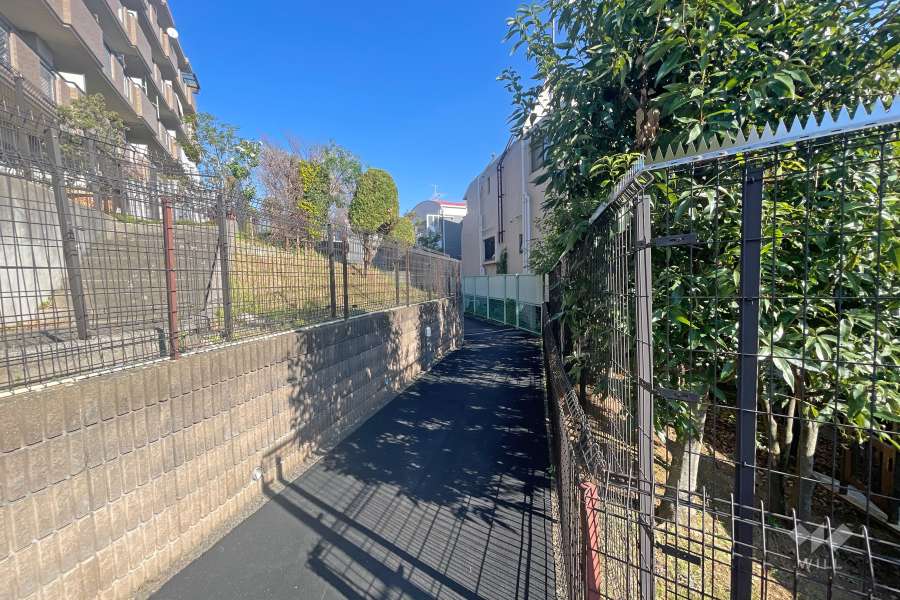 敷地南側の前面道路（西側から）