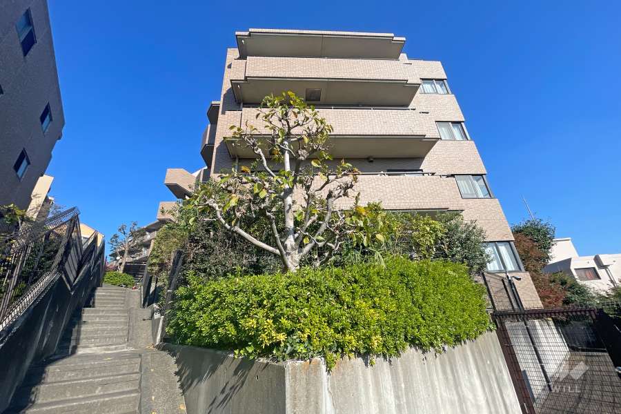 エステスクエアたまプラーザの外観（南西側から）