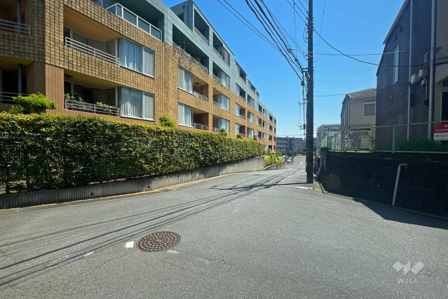 敷地南側の前面道路（西側から）