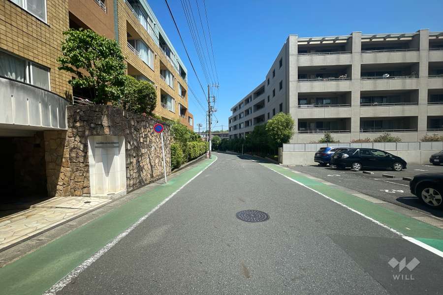 敷地東側の前面道路（南側から）