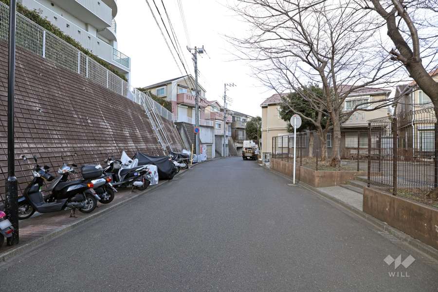 敷地東側の前面道路（南側から）。向かいは『野川花ぞの公園』です。