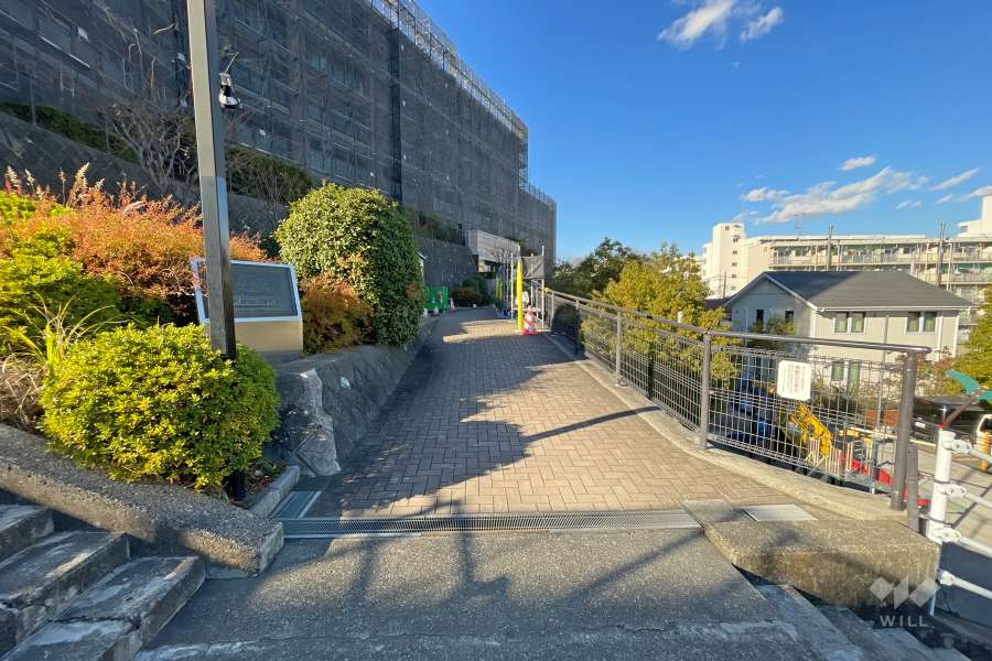 敷地東側の前面道路（南側から）