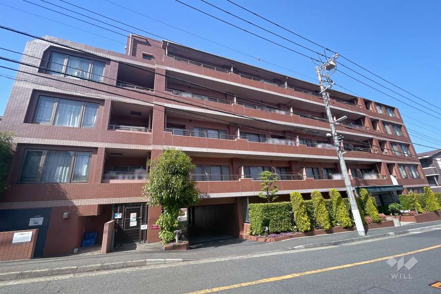 川崎市宮前区でペット飼育可のマンションをさがす｜ウィル不動産販売