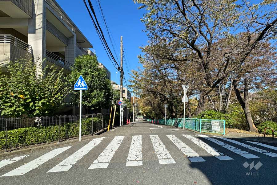 敷地北東側の前面道路