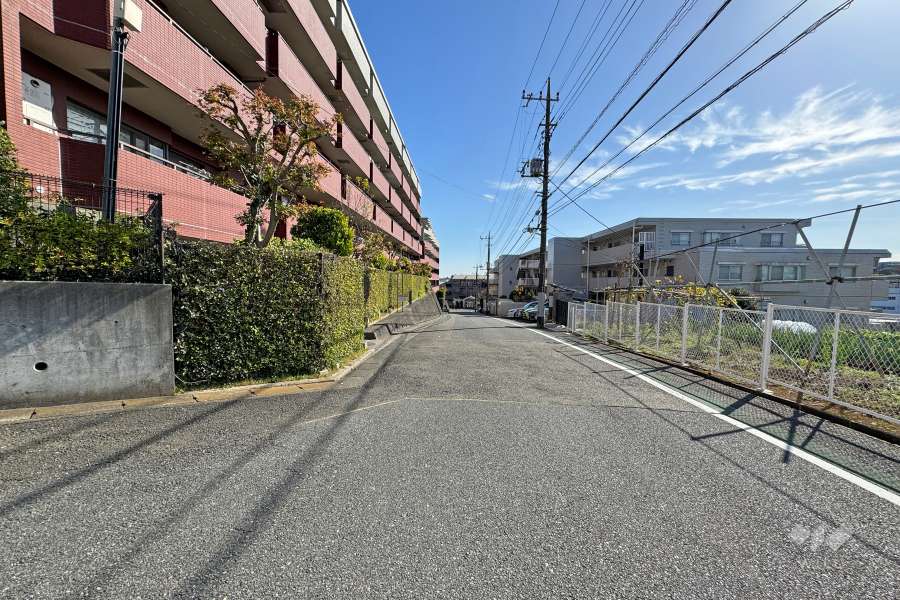 敷地南西側の前面道路（北西側から）