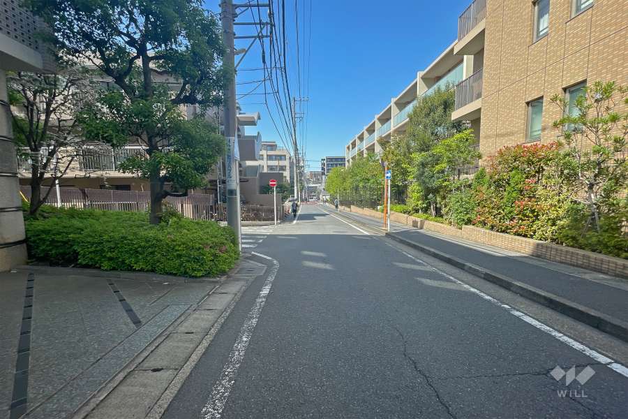 敷地東側の前面道路（南側から）
