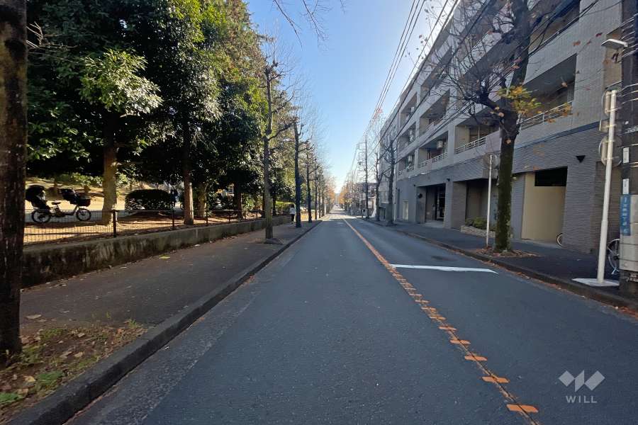 敷地東側の前面道路（北側から）