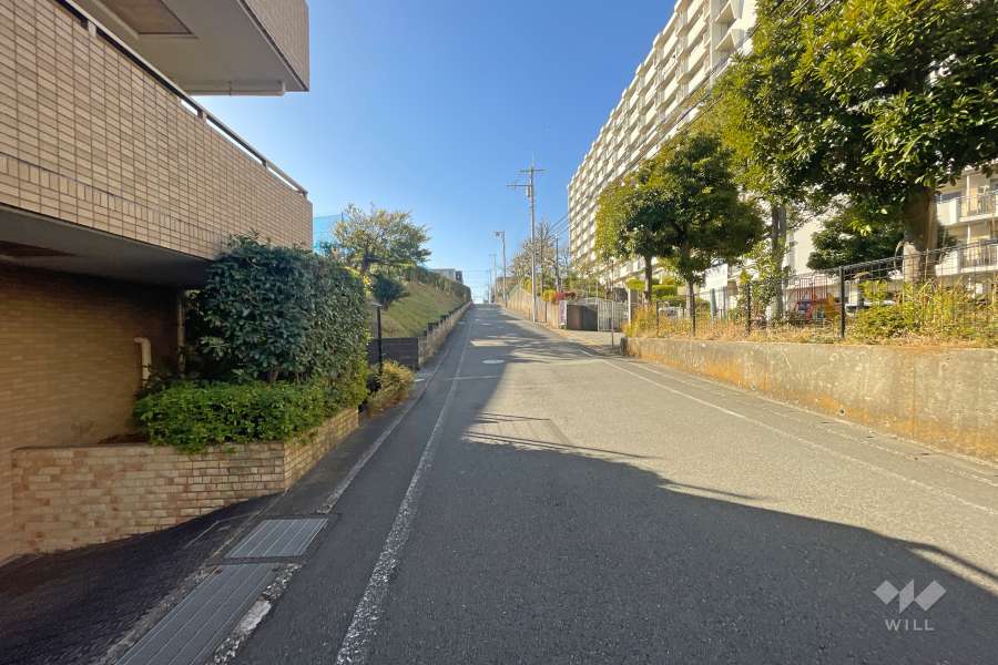 敷地北側の前面道路（東側から）