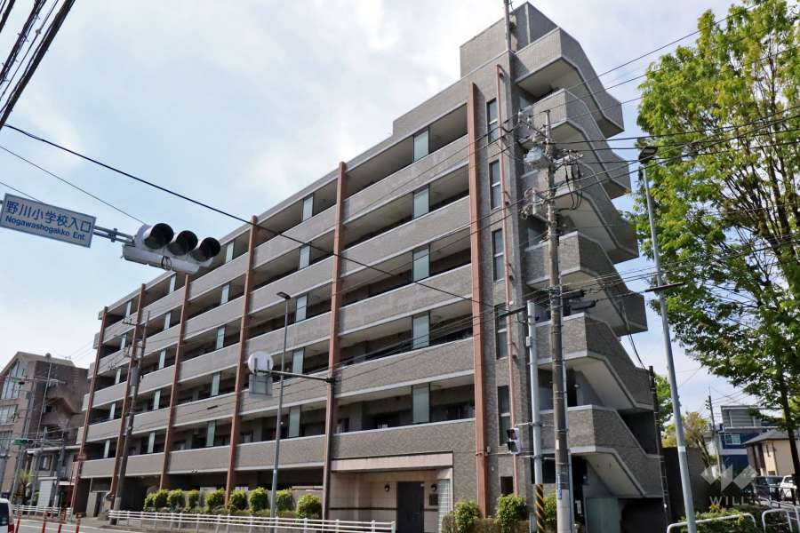 センチュリー梶ヶ谷の外観（北東側から）