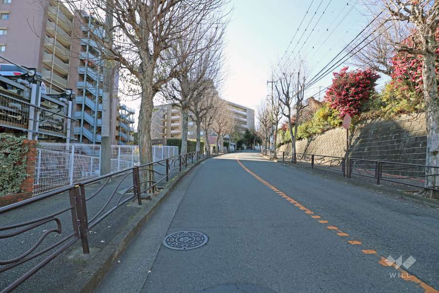 敷地北西側の道路（北東側から）
