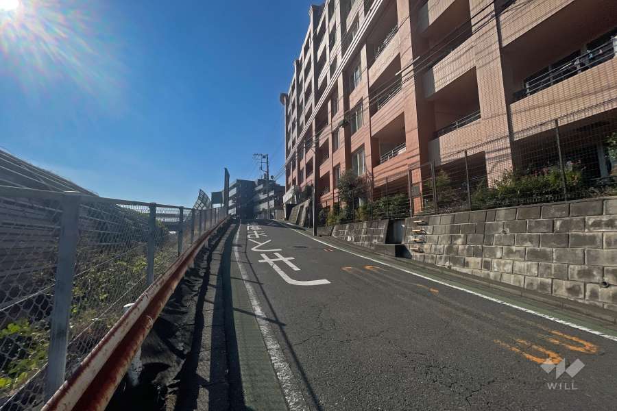 敷地南東側の前面道路（北東側から）